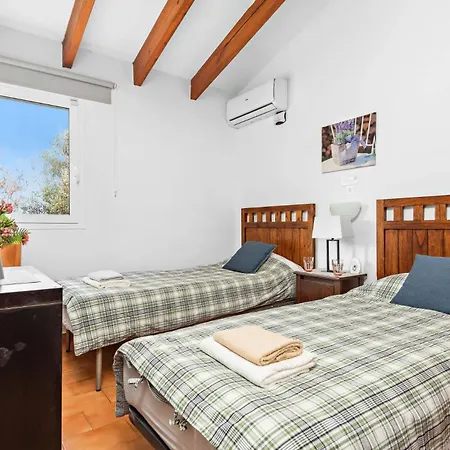 Cas Sucrer By ביניבקה